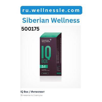 IQ Box / Интеллект